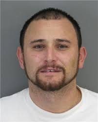 Man admits to sex charge