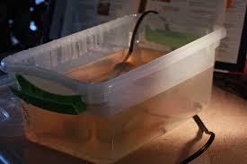 Mini clear acrylic betta aquarium fish tank breeding isolation box w water pump. Breeding Bettas Basement Bettas