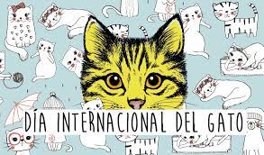 Este día tiene sus raíces con bill clinton y su gato, socks. Feliz Tercer Dia Internacional Del Gato Columna De Daniel Tristan