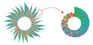 D3 Transition Arcs In Sunburst Chart Stack Overflow