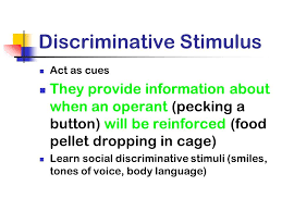 Discriminative Stimulus Argumentative Essay Topics Applied Behavior Analysis Behavior Analysis