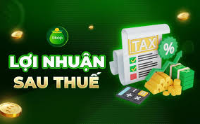 Lợi nhuận sau thuế là gì? Cách tính lợi nhuận sau thuế chi tiết - Tikop.vn