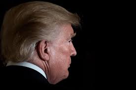 Battleground: Ballot Box