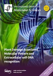 Yeap cheng chuan & co. Ijms October 2016 Browse Articles