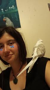 Thank youuuu so much for these gorgeous birds, I love them so much ❤️