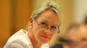 Very annoyed': Yvette Quinn breaks silence over lack of support from  Nationals