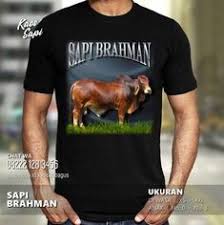 Jual anjing american pit bull terrier pasang iklan. 82 Ideas De Buzos Cat En 2021 Buzo Caterpillar Maquinaria Ingenieria De Minas