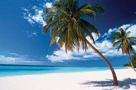 This is a great beach getaway for those with families. The Dominican Republic S 10 Best Beaches