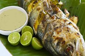 Î‘Ï€Î¿Ï„Î­Î»ÎµÏƒÎ¼Î± ÎµÎ¹ÎºÏŒÎ½Î±Ï‚ Î³Î¹Î± ÎºÏ…ÏÎ¹Î±ÎºÎ· Ï„Ï‰Î½ Î²Î±Î¹Ï‰Î½