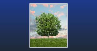 Donnie Samons Obituary August 8, 2024