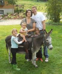 Miniature donkeys originally come from the mediterranean and sicily and they can be trained to pull carts or ridden by small children. Uses For Miniature Donkeys Sunny G Acres