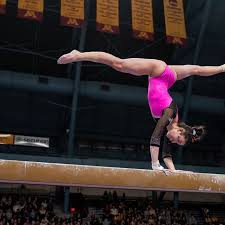 Amazon's choice for indoor sports equipment. Minnesota Golden Gophers Winter Schedules Announced The Daily Gopher