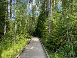 Hike #34: Island Lake Conservation Area