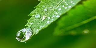 Jika panjang permukaannya 20 cm maka tentukanlah besar tegangan. Tegangan Permukaan Pengertian Rumus Dan Contoh Soalnya