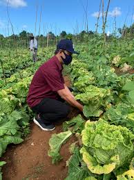 Bawang merah yang sering kamu temukan di dapur ini ternyata bisa digunakan sebagai obat tradisional. Bank Indonesia Dan Dinas Pertanian Provinsi Maluku Bentuk Kelompok Tani Binaan Di Kota Ambon Lelemuku Lelemuku Com Kebanggaan Anak Negeri Portal Berita Yang Informatif Dan Objektif