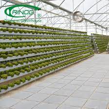 Pin On Greenhouse Farming Advantages