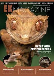 Image result for Carex steudneri