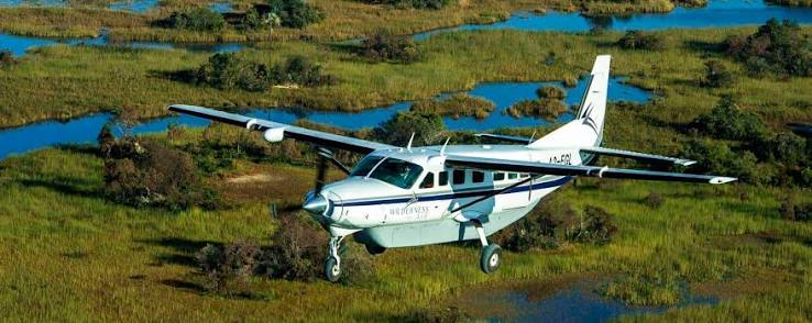 Serengeti Fly-in Safari Experience