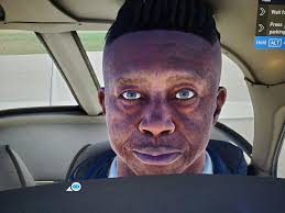 Microsoft Flight Simulator 2024 (Asobo Studio)