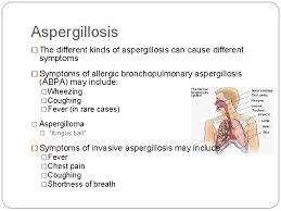 The symptoms vary depending on the type of aspergillosis: Aspergillosis Symptoms
