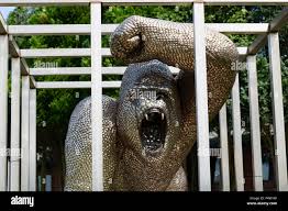 Spoons gorilla hi-res stock photography and images