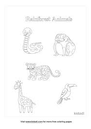 For boys and girls, kids and adults, teenagers and toddlers, preschoolers and older kids at school. Rainforest Animals Coloring Pages Free Animals Coloring Pages Kidadl