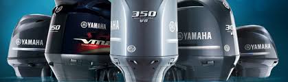 Yamaha Outboard All Models Colorrite