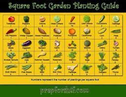 I Love Square Foot Gardening Square Foot Gardening Square Foot Gardening Layout Planting Vegetables