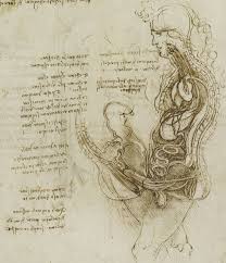'why does the eye see a thing more clearly in dreams than the imagination when awake?' leonardo da vinci quotations. Leonardo Da Vinci And The Origin Of Semen Notes And Records The Royal Society Journal Of The History Of Science