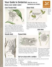 Check spelling or type a new query. How To Recognize Spiders By Their Webs Bay Nature Magazine