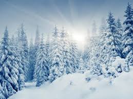 We did not find results for: Beautiful Winter Landscape With Snow Covered Trees Photographic Print Leonid Tit Allposters Com