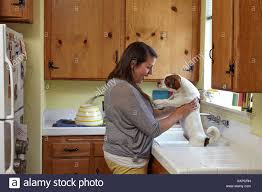 mid adult woman bathing dog in kitchen