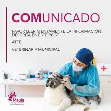 Veterinaria Municipal de Maule
