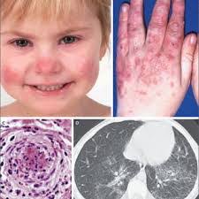 Iona Li's Instagram, Twitter & Facebook