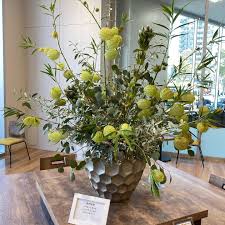 Image result for Gomphocarpus kaessneri