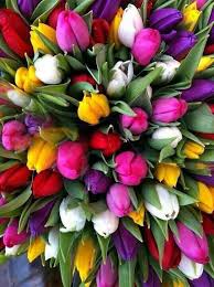 Check spelling or type a new query. 13 Copper Penny Flower Arrangements Ideas Flower Arrangements Beautiful Blooms Flowers