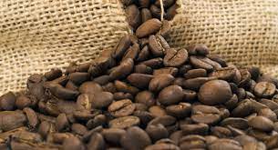 Loker sabtu minggu tegal / jual loker 18 pintu bir. Indoma Leading International Importer Exporter For Coffee Tea Spices And Cocoa