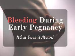 During different times in gestation during the second trimester of pregnancy, spotting does not typically occur unless provoked by overexertion. What Does Spotting Or Bleeding In Early Pregnancy Mean Wehavekids