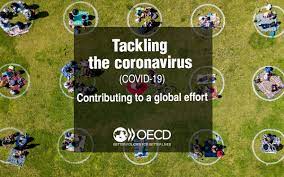Coronavirus Covid 19 Sme Policy Responses