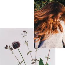 It is recommended for curly hair. How To Choose The Best Dry Shampoo Rossano Ferretti Eu
