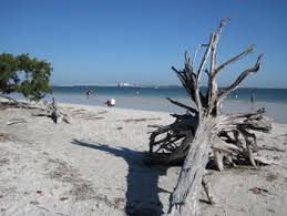 tide charts the sanibel captiva shell club