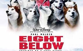 Eight Below This Movie Is Not For Self Professed Cat Lovers Half Of The Movie S Runtime Features Just The Dogs Wh Paul Walker Movies Dog Movies Below Movie
