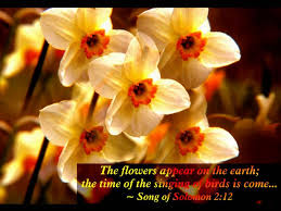 We did not find results for: Spring Bible Quotes Quotesgram