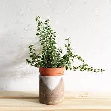 One of the most traditional ways to welcome new neighbors is to bring a housewarming gift when you introduce yourself. Gifts For Welcoming New Neighbors Short Walk Home