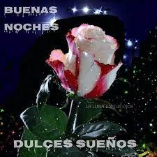 Pin By Mabelgrufi On Buenas Noches Flowers Gif Digital Flowers Rose Flower Wallpaper