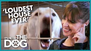 Post: A Great New Way To Play Music For Your Dog