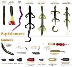 Power Bassin With Finesse Carolina Rigging For Bass Right Bass Fishing Fishing Tips Saltwater Fishing