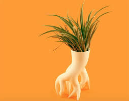 Viven Muller Launches Open Source 3d Printed Mangrover Planter Backyard Garden Design Backyard Landscaping Designs Backyard Garden Landscape