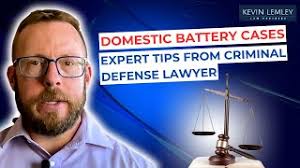 How to Win a Domestic Battery Case