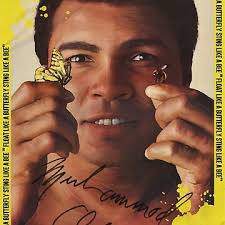 Float Like A Butterfly Sting Like A Bee, Best Gift Idea For Muhammad Ali  Clay Lovers And Muhammad Ali Legendary Quotes Art lover" Poster for Sale by  Paintcorner